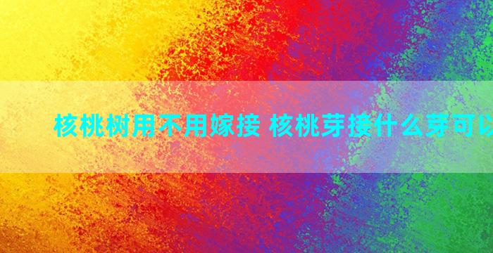 核桃树用不用嫁接 核桃芽接什么芽可以做芽接